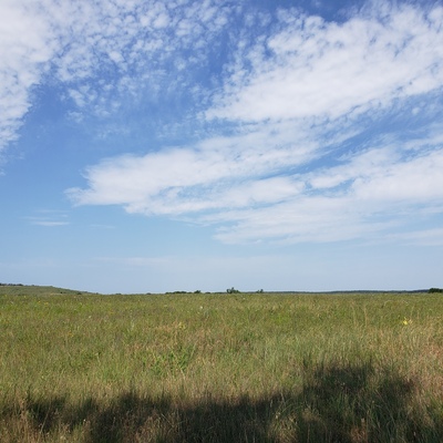 Native Plant Hay Meadow near Coyville, Wilson County, Kansas