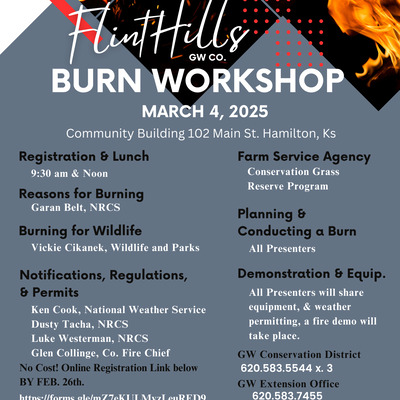 Burn Workshop on March 4, 2025