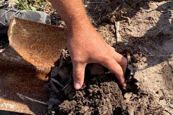 KACD Advocating for More Living Roots to Improve Soil Health