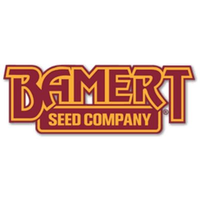 Exhibitor- Bamert