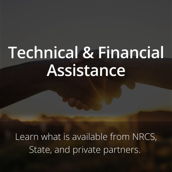 Technical and Financial Assistance
